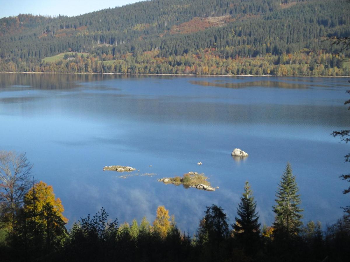 Apartamento Haus Steininger Schluchsee Exterior foto